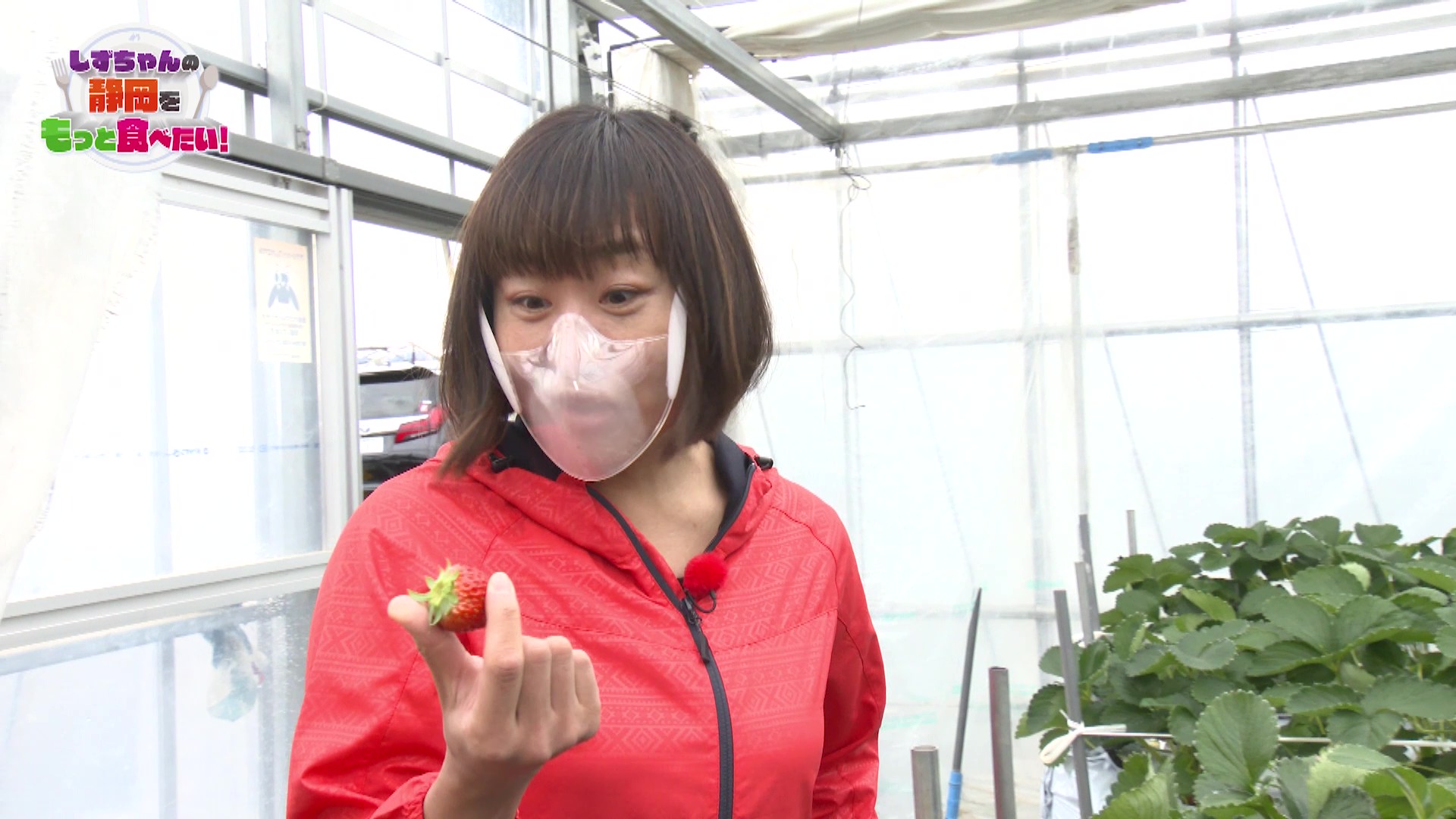 動画サムネイル