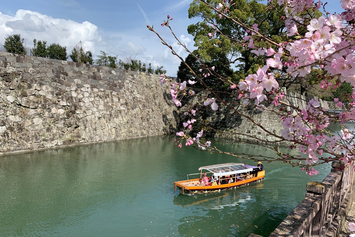 駿府城の遊覧船 葵舟と桜
