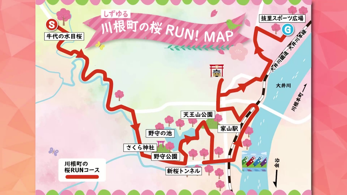 亮と優の静岡をゆる～く走りませんか？：2026年 島田市川根町お花見ラン！フォト対決！ ランニングコース