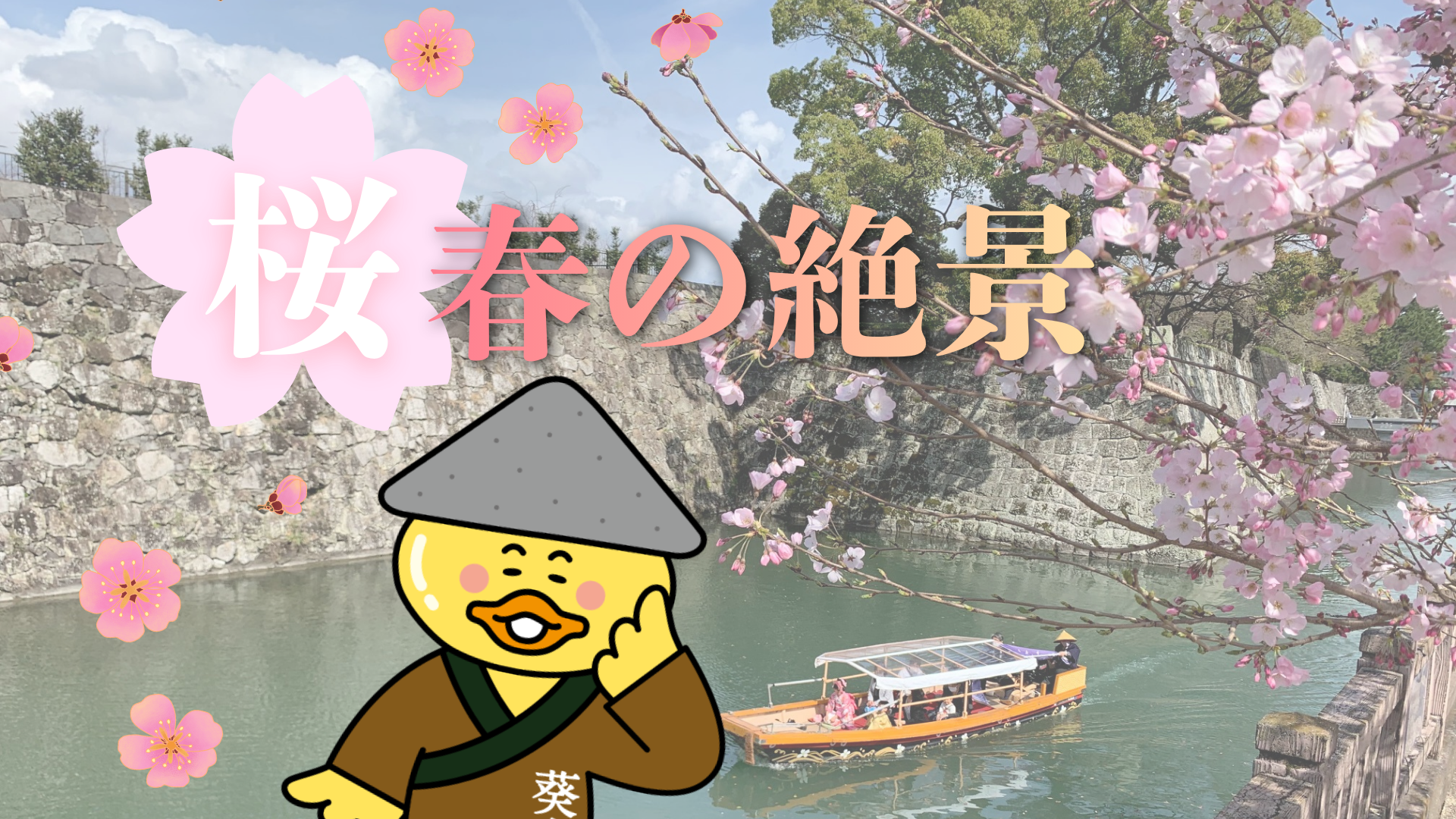 今が見ごろ！駿府城公園の桜が織りなす春の絶景